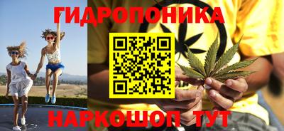 стафф Можга