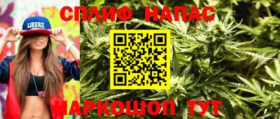 МДПВ Моздок