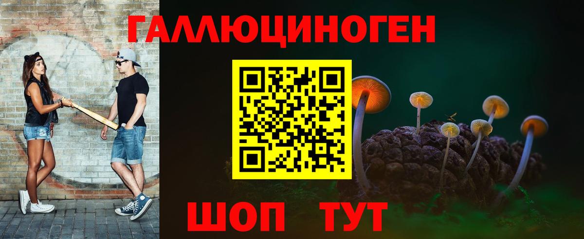 Галлюциногенные грибы Psilocybe Реж